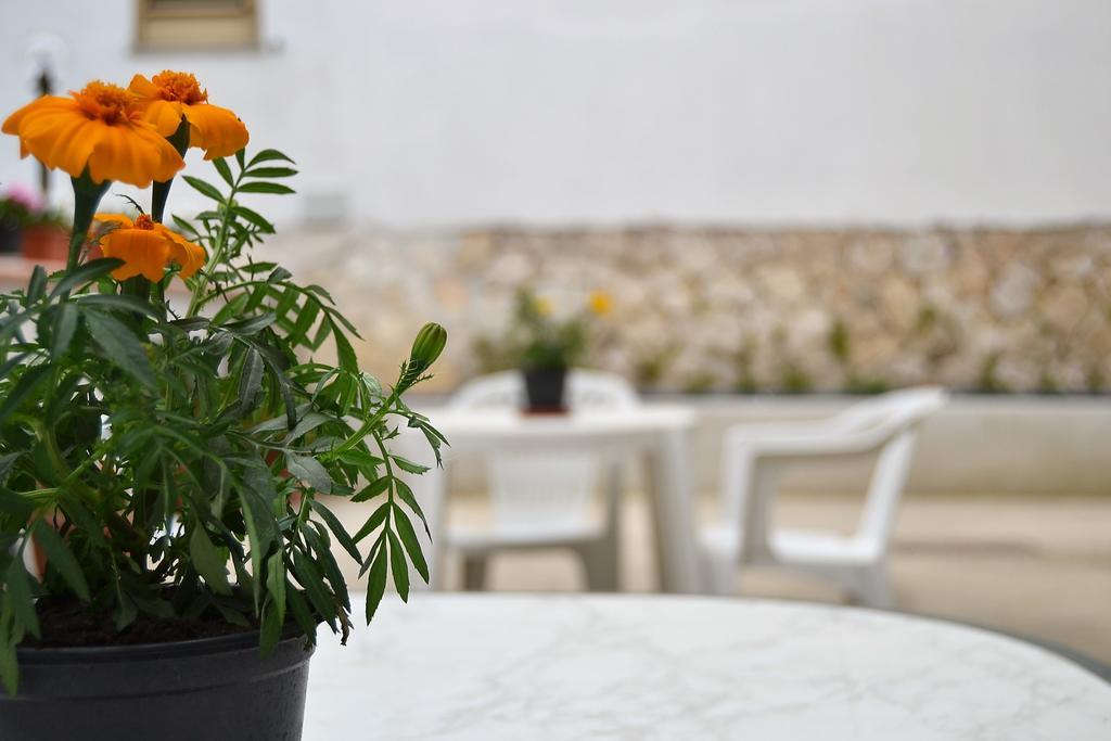 Il Girasole Formia Guesthouse Rooms المظهر الخارجي الصورة
