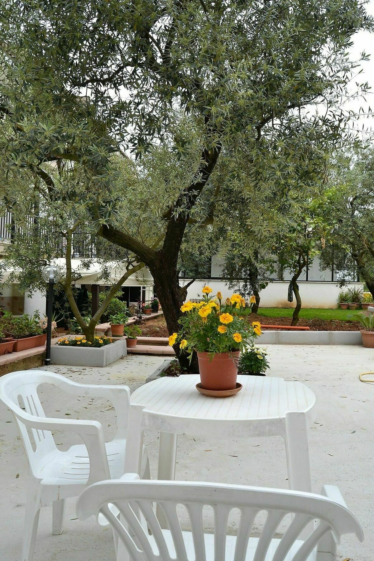 Il Girasole Formia Guesthouse Rooms المظهر الخارجي الصورة