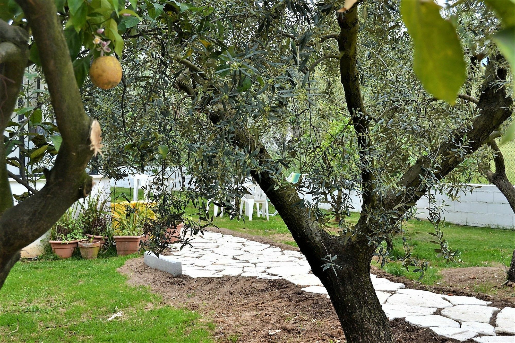 Il Girasole Formia Guesthouse Rooms المظهر الخارجي الصورة